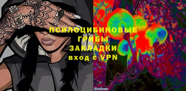 первитин Горняк