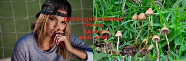 первитин Горняк