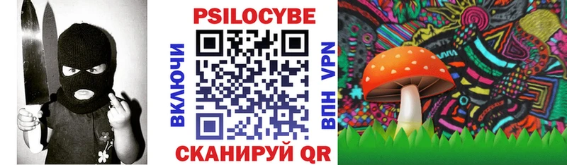 Галлюциногенные грибы Cubensis  Купить где  Тюмень 